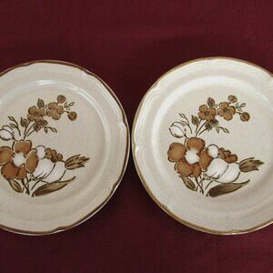Hearthside Stoneware Autumn Fair Baroque set of 2 dessert/bread plates 7-1/2" W